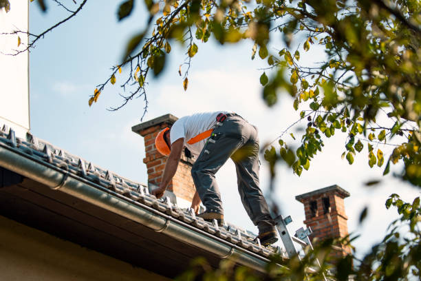 Best Affordable Roofing Company  in Marine City, MI