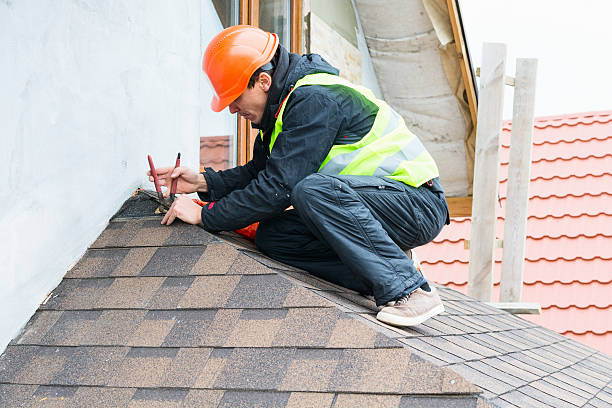 Best Roof Gutter Cleaning  in Marine City, MI