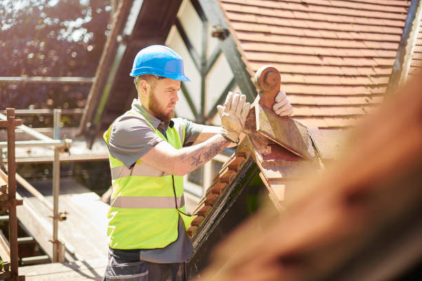 Best Residential Roofing Contractor  in Marine City, MI