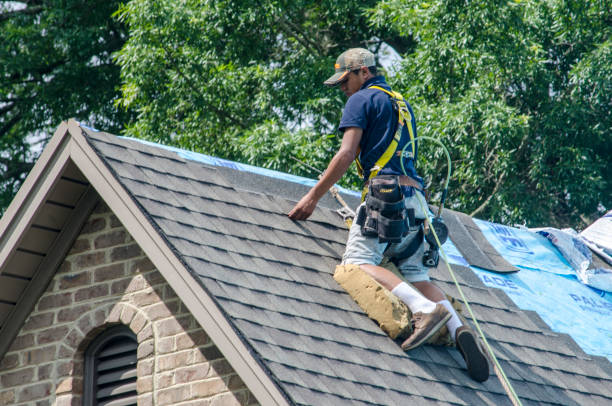 Best Metal Roofing Contractor  in Marine City, MI